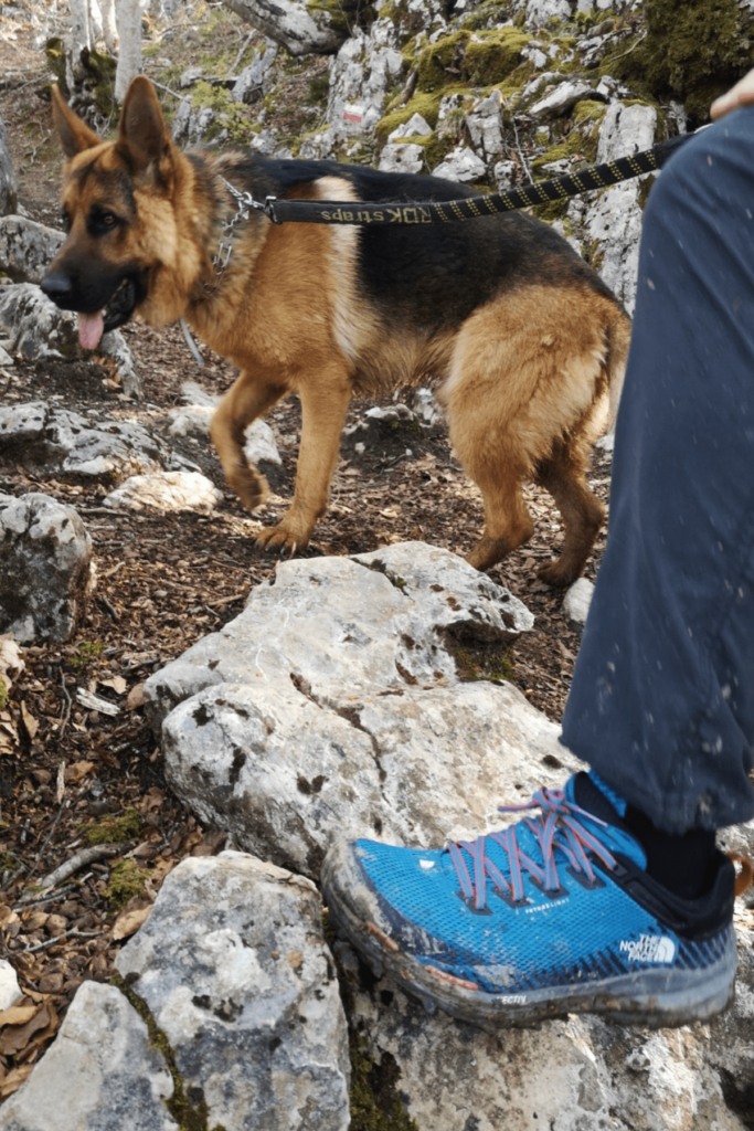 The North Face, Fastpack Vectiv Futurelight